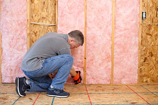 Best Eco-Friendly Insulation in Greenwood, LA